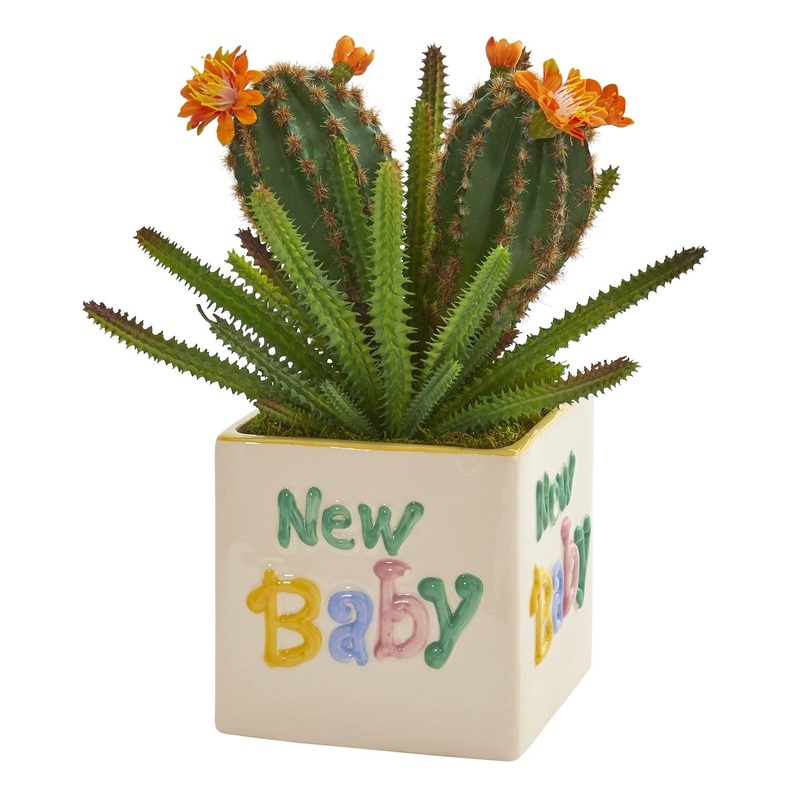 11 Cactus Succulent Artificial Plant in New Baby Planter