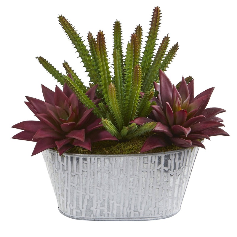 11 Cactus Succulent Artificial Plant in White Tin Planter
