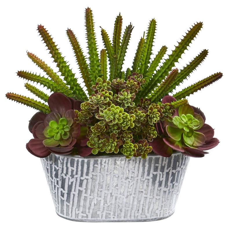 11 Echeveria and Cactus Artificial Plant in White Tin Planter