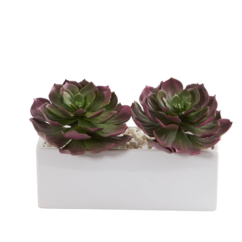 11 Echeveria Succulent Artificial Plant in White Planter
