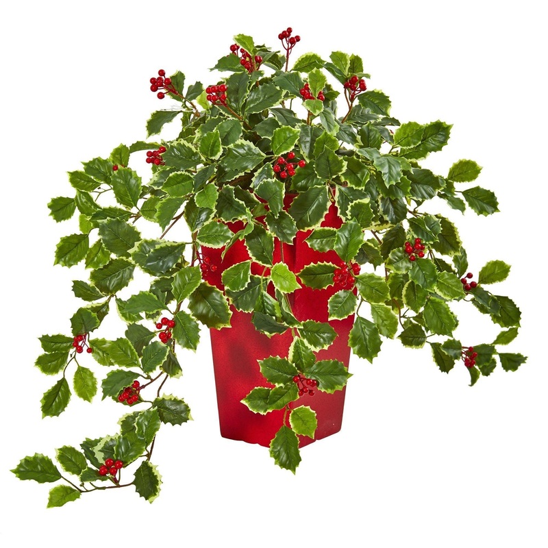23 Variegated Holly with Berries Artificial Plant in Red Planter (Real Touch)