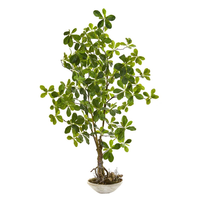 4 Schefflera Bonsai Artificial Plant in Planter