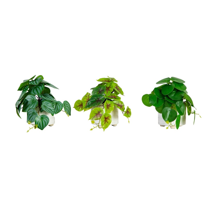 8 Artificial Mixed Greens in Ceramic Planter- Set of 3