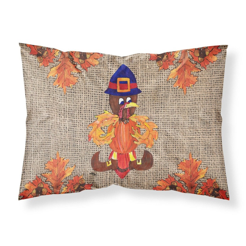 Turkey Pilgrim Fleur de lis Standard Pillowcases  Artistic Decorative Front, Crisp White Back