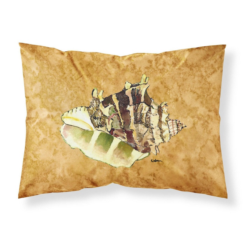 Shell  Standard Pillowcases  Artistic Decorative Front, Crisp White Back