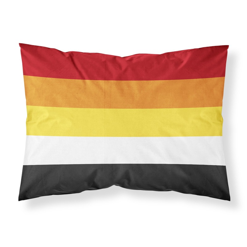 Lithsexual Pride Fabric Standard Pillowcase  Artistic Decorative Front, White Back