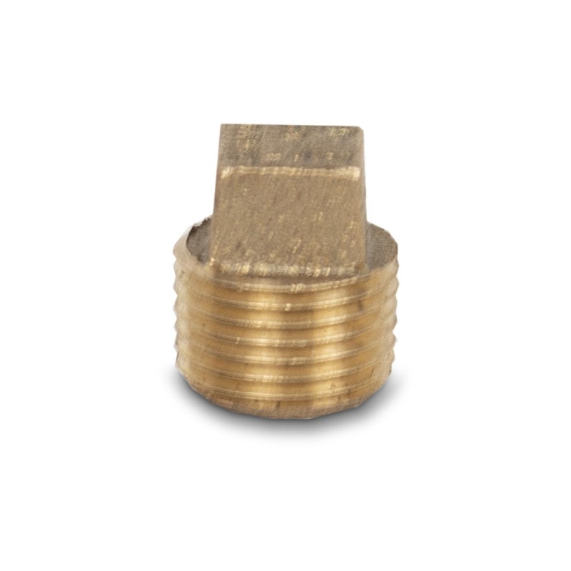 4" SS Housing Brass End Plug 1/2" FNPT