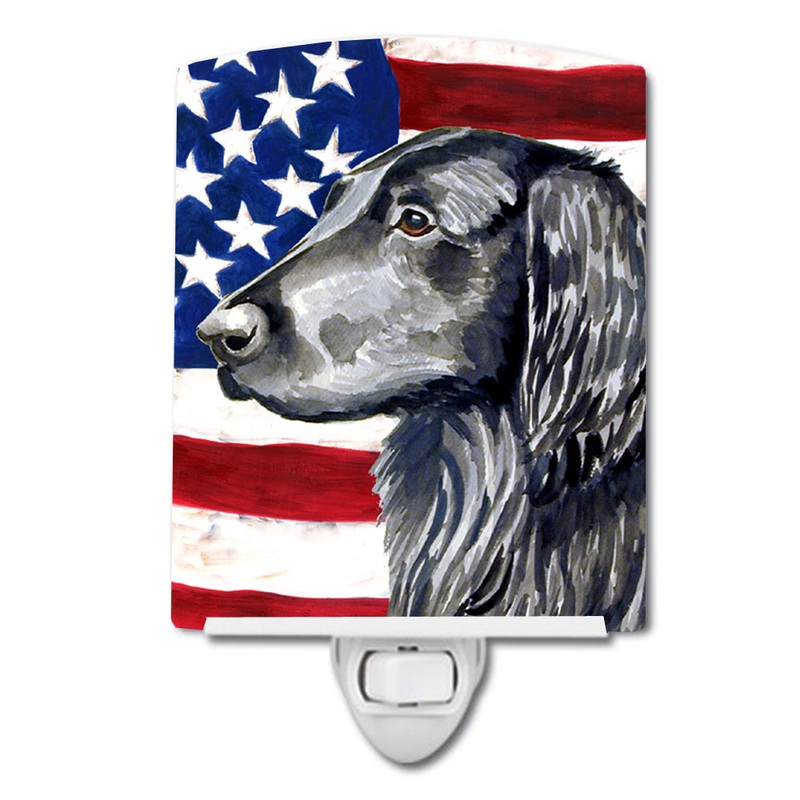 USA American Flag with Flat Coated Retriever Ceramic Night Light LH9021CNL