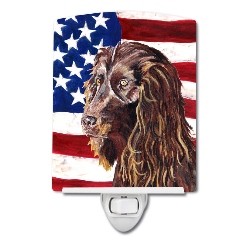 Boykin Spaniel with American Flag Ceramic Night Light SC9518CNL