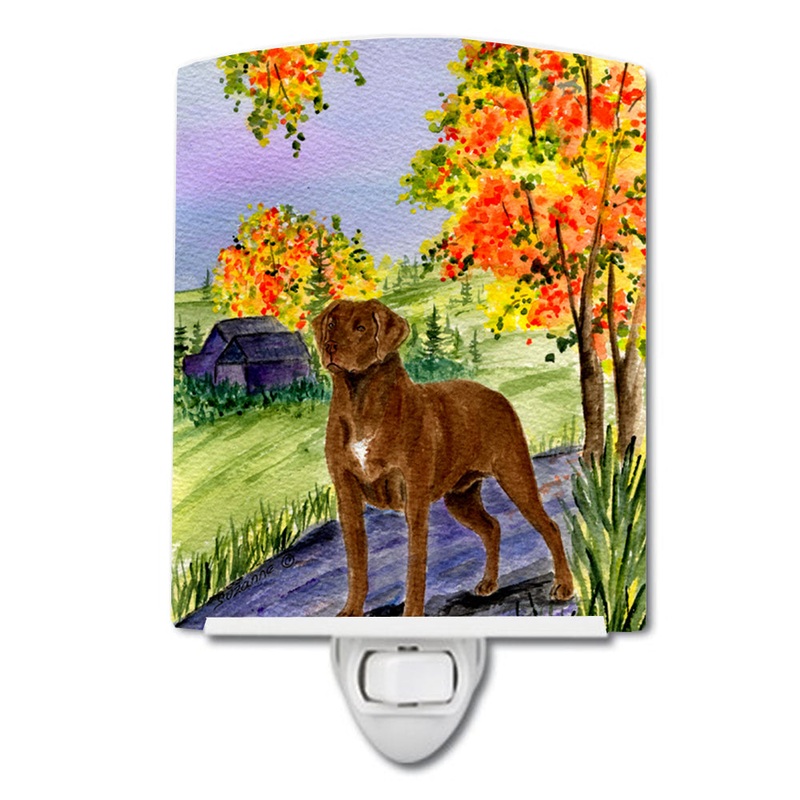 Chesapeake Bay Retriever Ceramic Night Light SS8427CNL