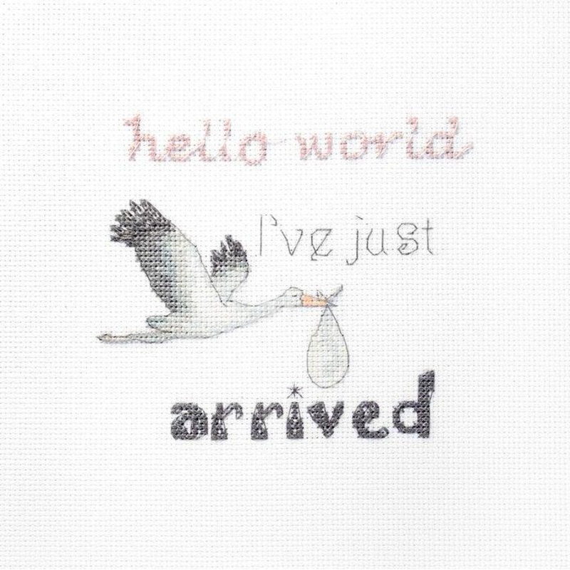 Counted Cross Stitch Kit A gift for a newborn Leti931