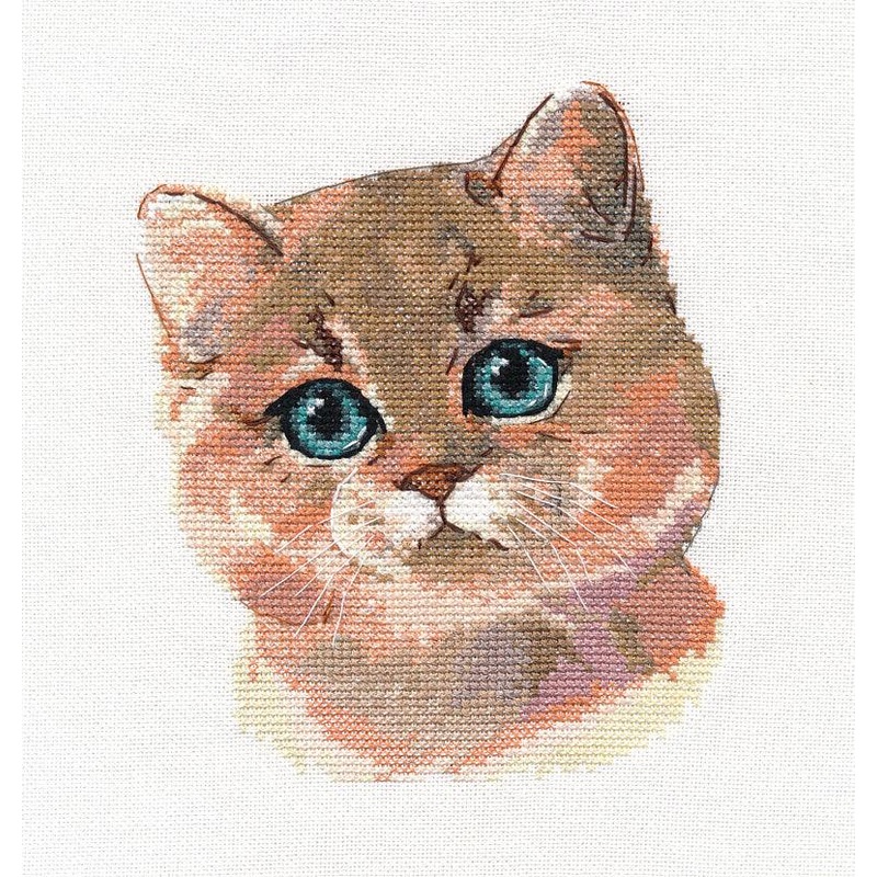 British Shorthair Cat 1326 Counted Cross Stitch Kit
