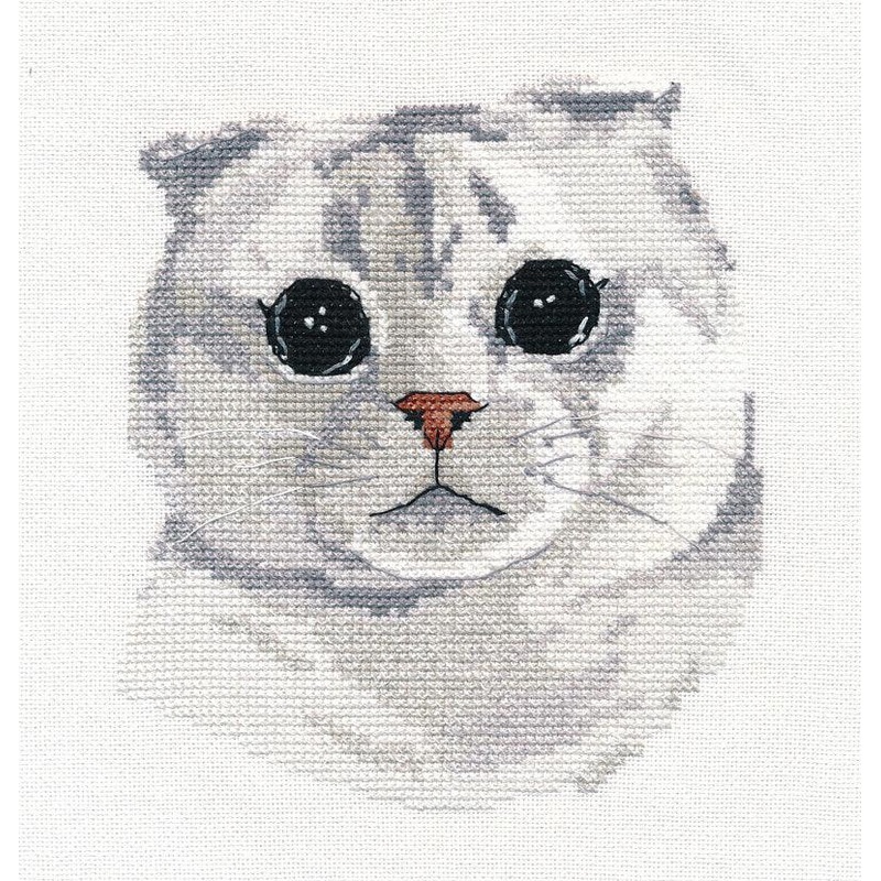 Scottish Fold 1323 Kitten Counted Cross Stitch Kit