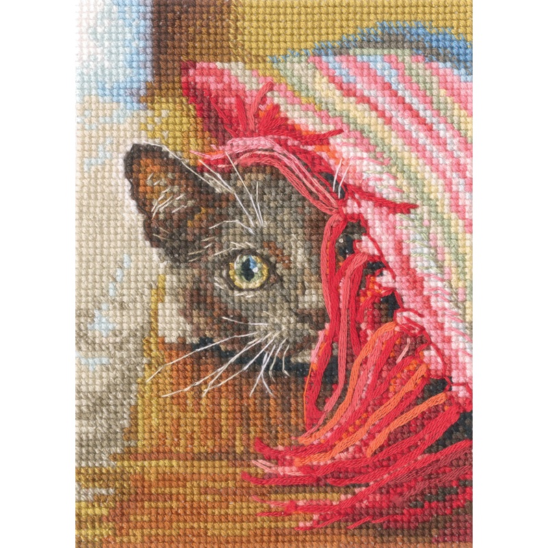 Observer C422 Counted Cross Stitch Kit