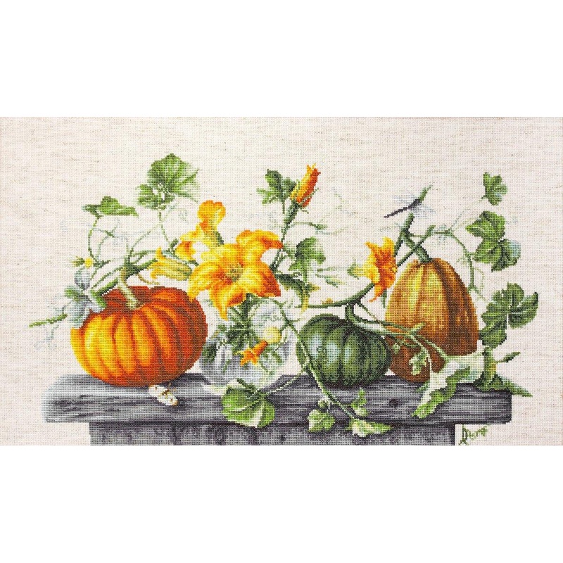 Pumpkin B2303L Counted Cross-Stitch Kit
