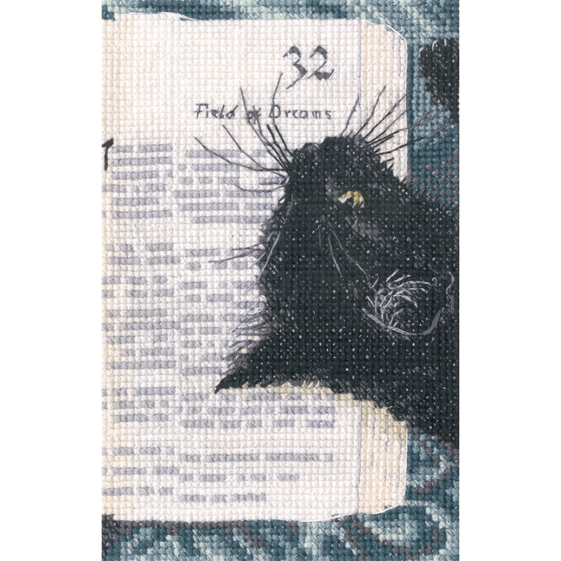 Silence in the library C424 Counted Cross Stitch Kit